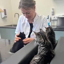 472405046_122209898174209871_3601249200845027852_n