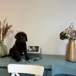 472503447_122209119218209871_8277461376074332661_n