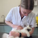 474628360_122213818688209871_2457232629499814665_n