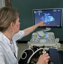 474684473_122213840804209871_1882500213872152910_n