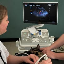 474700993_122213841380209871_8790012191836527915_n