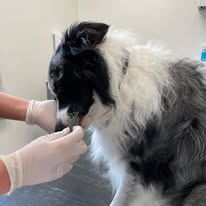 474713757_122213743010209871_1453906288786209927_n