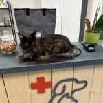 475762424_122216278820209871_1274095079506947919_n