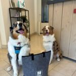 475770440_122216168384209871_7674522446719712420_n