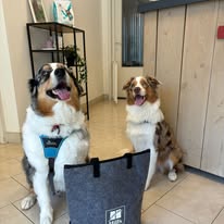 475770440_122216168384209871_7674522446719712420_n