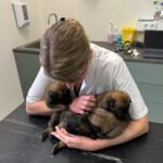 476642161_122217624230209871_321689334803599521_n