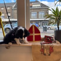 476781867_122218022618209871_3195604910247160479_n