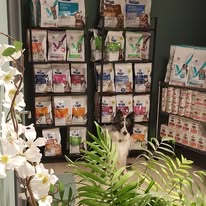 476902974_122217360752209871_7133108579532199353_n