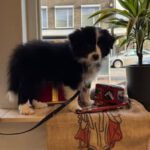 477182091_122218022666209871_8259099180242588280_n