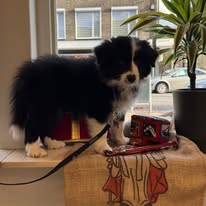 477182091_122218022666209871_8259099180242588280_n