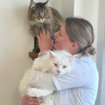 491936081_122235724484209871_1659991053582195908_n