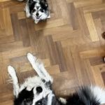 496250754_122240522906209871_4614149712813583551_n