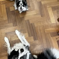 496250754_122240522906209871_4614149712813583551_n