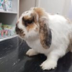 502744642_122245497908209871_8479123150838324998_n