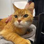 505306601_122246959664209871_8053560295064223352_n