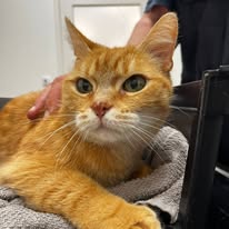 505306601_122246959664209871_8053560295064223352_n