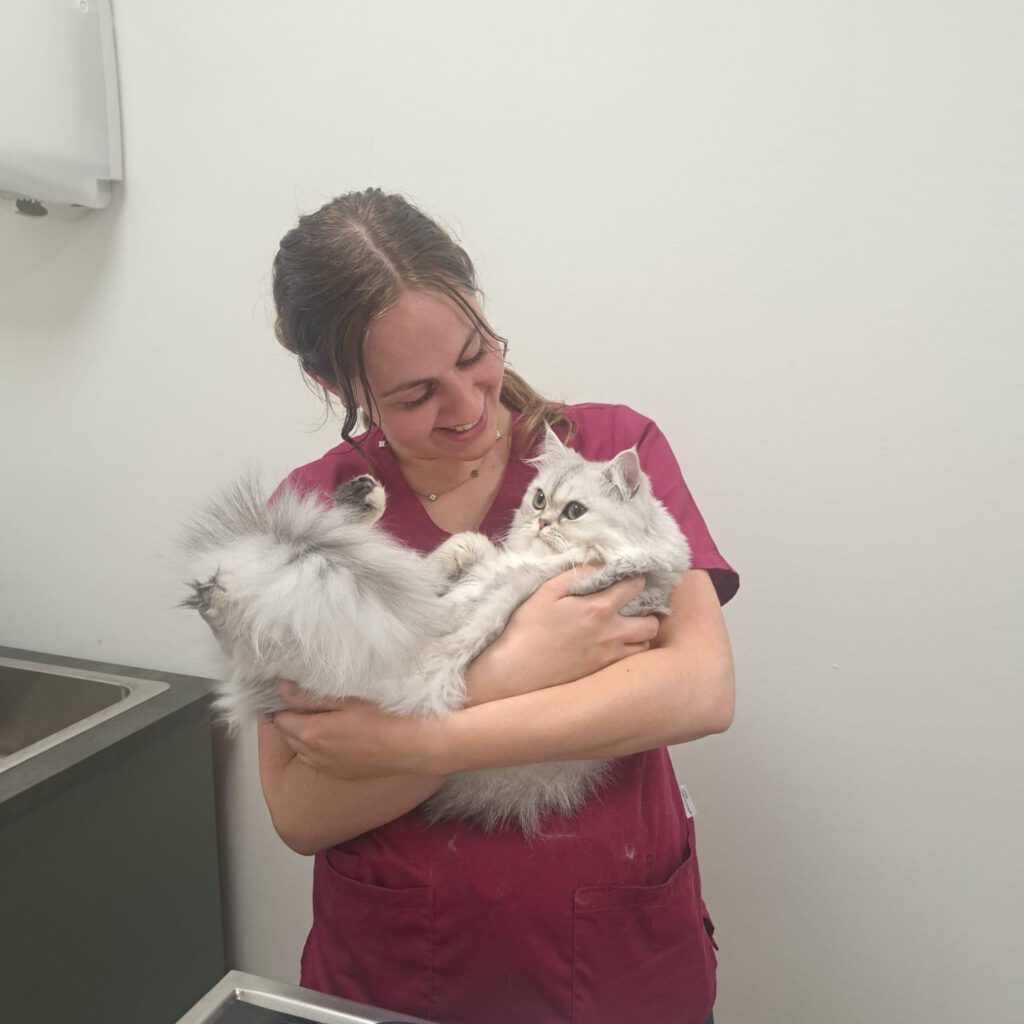 512923674_122250773600209871_5286710630170539621_n