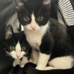 539511035_122265018764209871_3055881557296414546_n