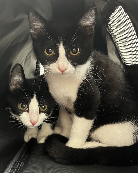 539511035_122265018764209871_3055881557296414546_n