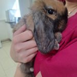 0f146fde-bbd9-4418-96d2-d256caeef063