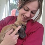 2d96c244-9130-43f3-bd8c-d8e13172819e