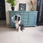 PHOTO-2025-07-10-17-47-58