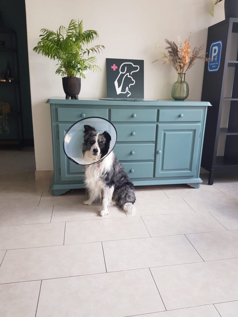 PHOTO-2025-07-10-17-47-58